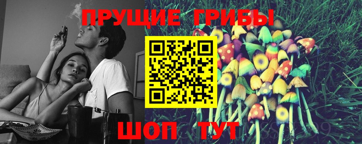 Псилоцибиновые грибы прущие грибы  Вход с VPN  Северск 